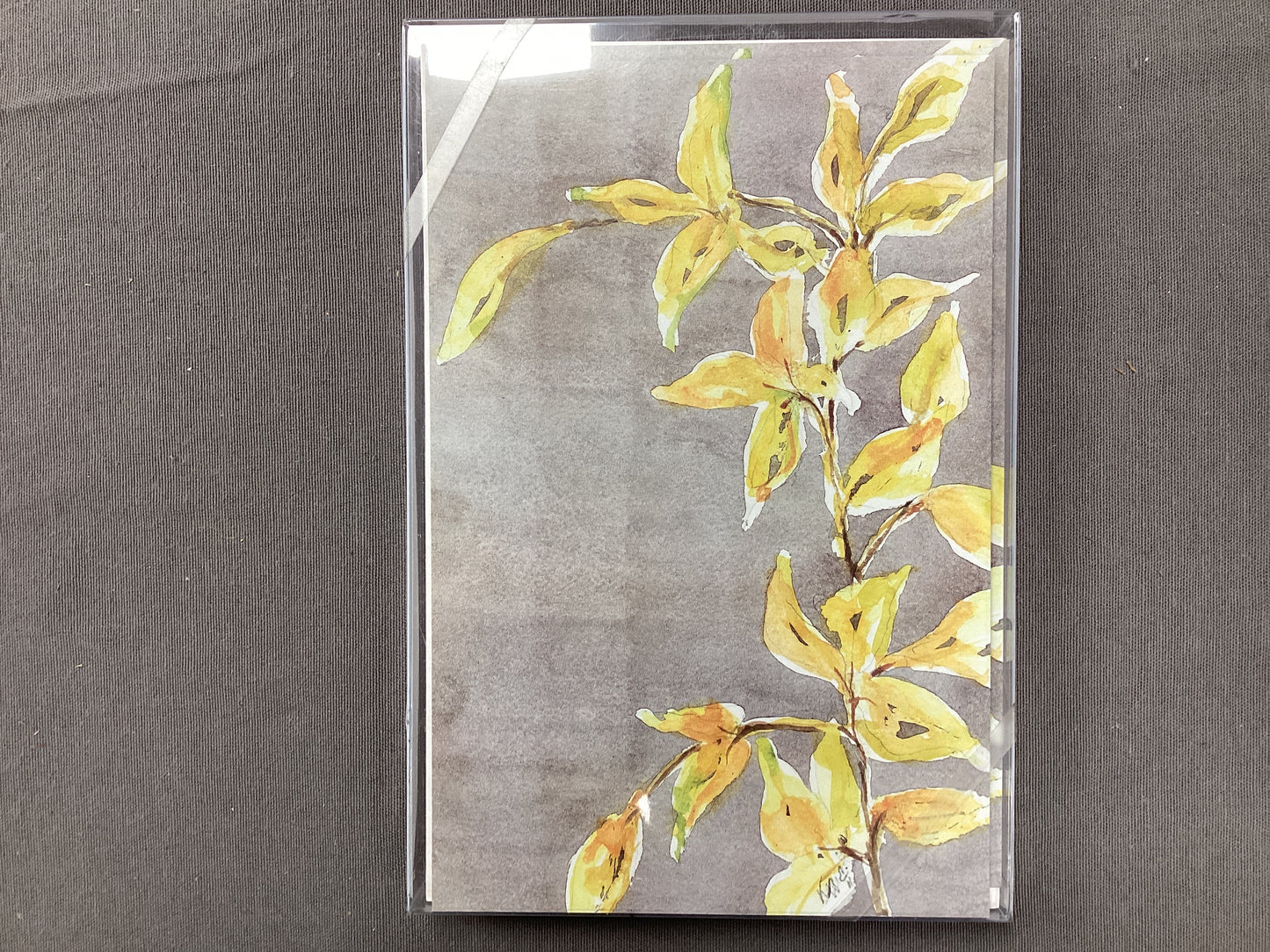 Shimmering Leaves 3469