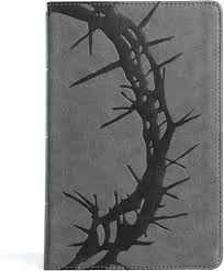 CSB Bible Large Print Personal size Reference Bible Red letter Charcoal leather touch