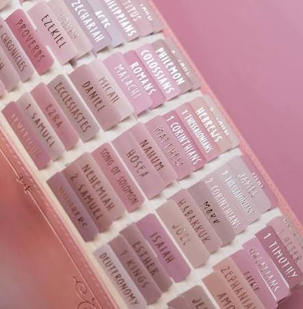 Bible Tabs Pastel with Gold Letters