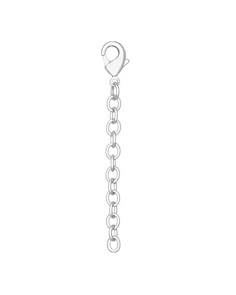 Silver extender