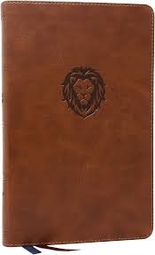 NKJV Bible Thinline Youth Brown Thomas Nelson