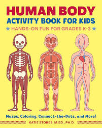 Humans Body Activity Book for Kids by Katie Stokes