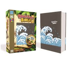 Adventure Bible NIV grey wave