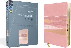 NIV thinline Bible Pink with mountains