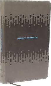 KJV Bible for Kids Thinline Edition Gray Thomas Nelson