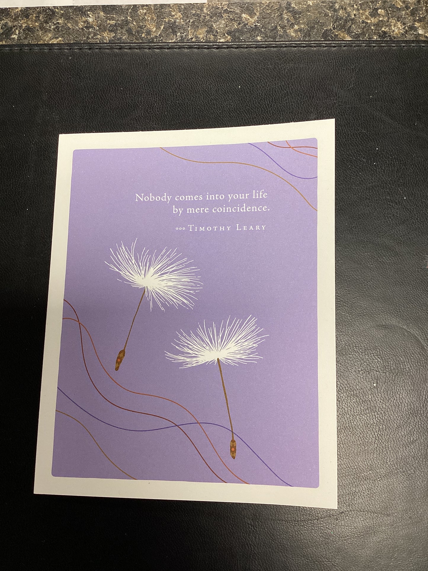 Card - Nobody Comes into Your Life