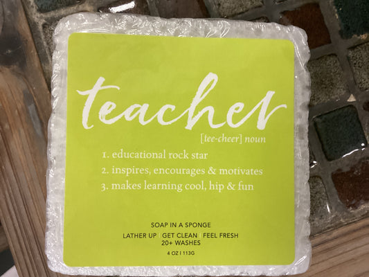 Teacher Soap Sponge