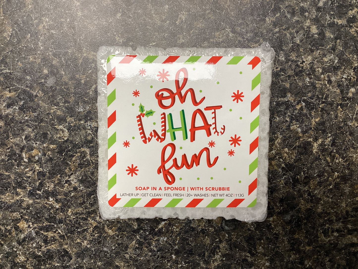 Oh What Fun Soap Sponge