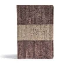Essential Teen Study Bible Christian Standard Bible Holman 2 tone Red letter