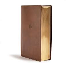 CSB Life Connections Bible Brown leather touch 16 study plans Regular text
