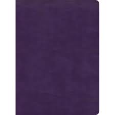 Bible KJV Study Bible Plum Leathersoft Full-Color Photos