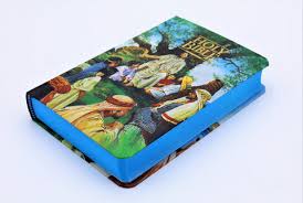 KJV Seaside Bible for Children Illustrated  Hard cover blue edges words of Christ in red