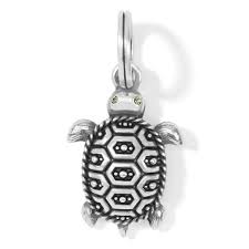 Pismo turtle charm